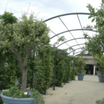 Pergolas en fer forgé moderne dans les Alpes-Maritimes et Monaco